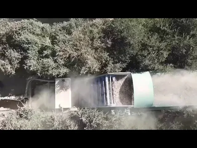 קומביין לאסיף חוחובה